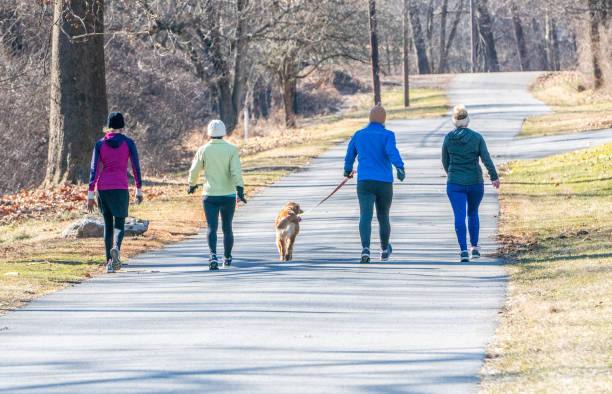 Can Walking 30 Minutes a Day Help You Lose Weight?